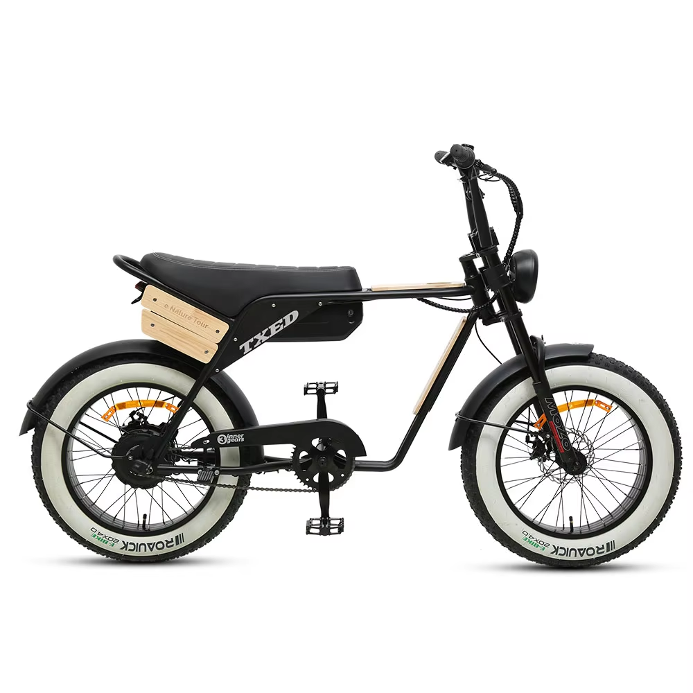 TXED Brushless 48V/250W Rear Hub Motor Alloy Mechanical Disc Brake Fat Tire Motorcycle Electric Bicycle