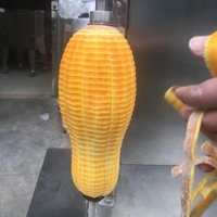 Persimmon, ananas, appel, drakenvrucht, mandarijn schiller, ontpitter en schilmachine