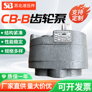 ปั๊มไฮดรอลิกเกียร์ นอร์เทิร์นเจียงซู รุ่น CB B 60 ลิตร/นาที ระยะส่ง 100 เมตร ตัวปั๊มเหล็กหล่อ ขับเคลื่อนด้วยไฟฟ้า - Product Image 5