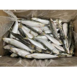 <span class=keywords><strong>Sardinas</strong></span> al por mayor por pieza, exportadoras, <span class=keywords><strong>precio</strong></span> por tonelada, pescado congelado, sardina - Product Image 6