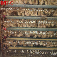 Les caille utilisent des cages de caille équipées d'un système d'alimentation automatique