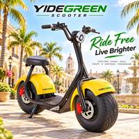 Skuter Listrik R1 Brazil 1000W, Distributor & Dealer, Kapasitas Beban Maksimum 200kg