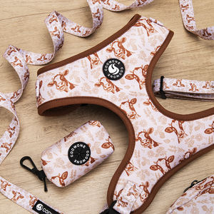 ペットリーシュ小型犬用ハーネスカスタムデザインペットカラーリーシュドッグハーネスとリードセットペット製品 - Product Image 5