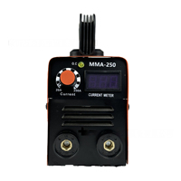 Machine de soudage à l'arc électrique portable 220V haute puissance Mini soudeur