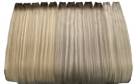 Extensions de cheveux Remy double drawn à trame invisible 2026 pour l'Europe, 100 % cuticules alignées, sans traitement chimique, Genius Weft