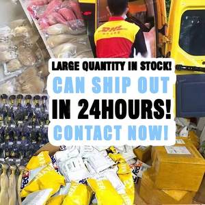 วิกผมแท้ 100% แบบลูกไม้ด้านหน้า 13x4 ขนาด 32 นิ้ว <span class=keywords><strong>ผม</strong></span>หยิกธรรมชาติแบบพม่า ความหนาแน่น 180% ลอนน้ำ 15A แบบ Double Drawn - Product Image 6