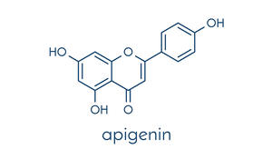 Натуральная добавка Апигенин сельдерей экстракт ромашки <span class=keywords><strong>98%</strong></span> апигенин порошок - Product Image 2