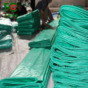 Bâche imperméable HDPE résistante verte de 195g protégée contre les UV de 6*20m pour la culture de fraises et la couverture d'abri de toit - Product Image 1