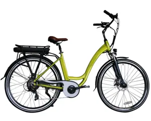 Nhà Máy Bán Hàng Trực Tiếp Nhà Máy Giá Ebike Unisex Điện Thành Phố Xe Đạp Với Giá Thấp