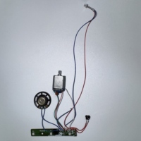 Carte de circuit imprimé pour jouet musical Xinxing avec fonctions sonores et lumineuses, assemblage de circuit de contrôle électronique, plastique personnalisé OEM