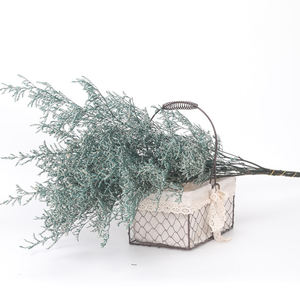 Vente en gros de fleurs de Limonium conservées et d'herbe de <span class=keywords><strong>Desmodium</strong></span> <span class=keywords><strong>Gyrans</strong></span> séchée du fournisseur du Yunnan pour les occasions de remise de diplômes de la Saint-Valentin - Product Image 5