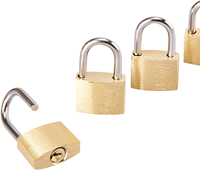 Lot de 12 mini cadenas en laiton de 20 mm, serrures à bagages avec clés, 0,7 x 1,2 x 0,25 pouces