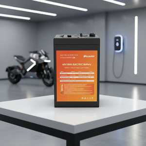 Batterie LFP 48V 30Ah 35Ah 50Ah LiFePO4 à décharge profonde avec protection BMS intégrée pour moto électrique et deux-roues - Product Image 6