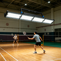 Luz LED Lineal Antideslumbrante de Aluminio Chino para Canchas de Bádminton Interiores, IP65, Garantía de 3 Años, 6000K, Luz Diurna, Regulable