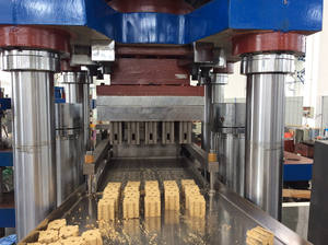 آلة تشكيل كتل الشمع الهيدروليكية قابلة للتخصيص بقوة من 5 إلى 20 طن للتحكم في الآفات الداخلية والخارجية - Product Image 4