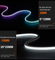 2835 Serpent Spectre Complet 100m Smart 12 Volt Ceeling Smart Silicone Led Linéaire Émission Coloré Flexible Néon Led Bande Lumineuse