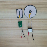 Taidacent 24V Entrée 12V 2A Sortie Aimant Chargeur Sans Fil À Induction TX RX Magnétique Sans Fil de Banque de Puissance de Module