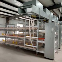 Poulailler de type H pour élevage de poulets de chair et pondeuses, mangeoires galvanisées, cage à poulets, poulailler pour poulets de chair, poules pondeuses