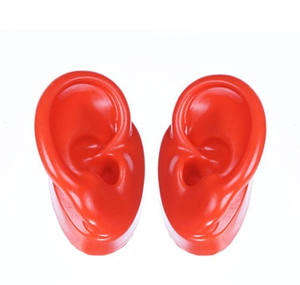 Affichage de modèle d'oreille en Silicone pour l'aide auditive de démonstration Siemens dans les magasins et les salons - Product Image 2
