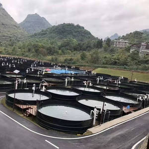 ซับบ่อ<span class=keywords><strong>ปลา</strong></span>0.5มม. Hdpe/<span class=keywords><strong>บ่อ</strong></span><span class=keywords><strong>ปลา</strong></span>ถัง - Product Image 5