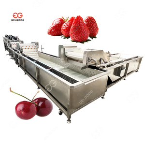 Cherry trái cây rửa sạch dây chuyền chế biến rau làm sạch và đóng gói máy để rửa và đóng gói Rau - Product Image 1