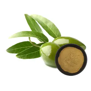 批量供应用于化妆品和保健产品的羟基酪醇10% 橄榄叶提取物