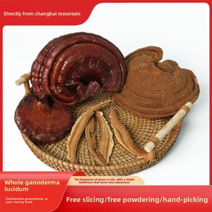 Cogumelo <span class=keywords><strong>Reishi</strong></span> Vermelho Inteiro da Montanha Changbai. Ganoderma Lucidum Seco, Direto da Fábrica, OEM Disponível para Marcas de Ervas - Product Image 2