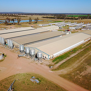 Đúc Sẵn Kết Cấu Thép Kỹ Thuật Công Nghiệp/Tòa Nhà/Nhà Kho/Máy Bay Hangar/Trang Trại Gà - Product Image 3