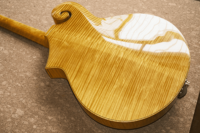 Guitare Jazz Archtop Électrique Faite à la Main Yunzhi, Corps Creux en Érable et Touche en Ébène, Micros H-H Professionnels, Personnalisable