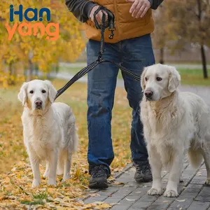 Hanyang OEM Custom running Double Elastic Bungee Nylon riflettente guinzaglio per cani a mani libere di lusso con doppio elastico per 2 cani
