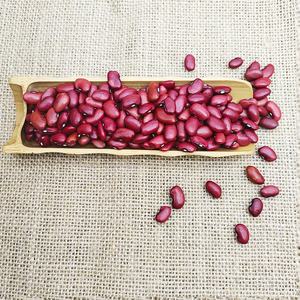 Fagioli rossi secchi all'ingrosso di buona qualità per l'esportazione - Product Image 5