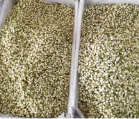 Teh Kuncup Herbal Wangi Alami Berkualitas Tinggi Bunga Melati Kering