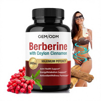 Capsules de berbérine, curcuma et cannelle OEM ODM sous marque privée – Soutien quotidien au bien-être, défense immunitaire adulte, et contrôle du taux de sucre sanguin