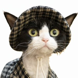 Cappello a secchiello caldo ed elasticizzato per gatti Sphynx dell'Abebasia retrò, set di abbigliamento per animali domestici - Product Image 3