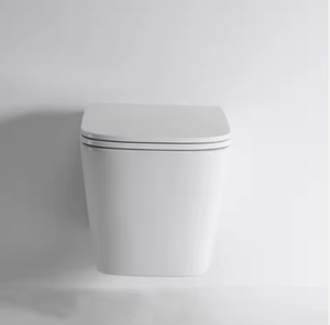 Wall Mount nhà vệ sinh thiết kế mới WC suspendu với dual-tuôn ra gốm một mảnh P-trap thoát nước cho phòng tắm - Product Image 4