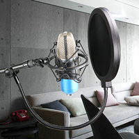 Microphone Pop Filter Mask Shield Filtre sonore de studio à double couche pour accessoires d'enregistrement de diffusion