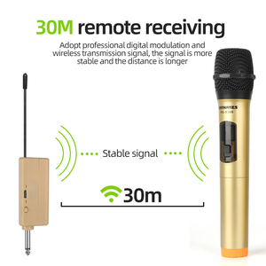 Rayhayes 2.4G Không Dây Microphone RG-B38S Receiver Transmitter Kit Kép Cầm Tay Cho Nhà Karaoke Bên. - Product Image 2