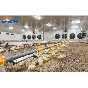 Hoàn thành tự động điều khiển gia cầm nhà gà trang trại xây dựng cho Gà Thịt - Product Image 1