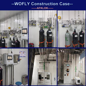 Pannello personalizzato collettore regolatore di pressione per azoto Argon aria ossigeno elio CO2 ingresso 6000psi sbocco 160psi <span class=keywords><strong>SS316</strong></span> - Product Image 5