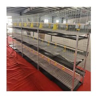 Cage à poulets verticale galvanisée rectangulaire à trois ou quatre niveaux avec plaque de collecte des excréments pour l'élevage