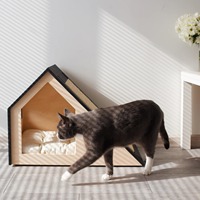 Modernes Hundehaus aus Massivholz, Umweltfreundliches Möbelstück für Kleine Hunderassen, OEM-Hundebett