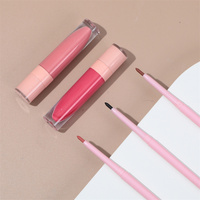 Kit Lèvres Mat TY Populaire Végan Marque Privée Rose Nude Couleur Imperméable Longue Tenue Anti-Transfert Anti-Décoloration Rouge à Lèvres Crayon Contour