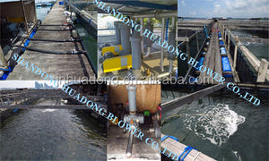 Beluchting Drie Lob Industriële Wortels Blower 3pk 5pk 10pk Zuurstof Leveren Goede Prijs Voor Aquacultuur Viskwekerij Garnalenkwekerij - Product Image 5