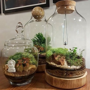 Personalizado grande claro flor flores <span class=keywords><strong>bonsai</strong></span> terrario plantas de flor cúpula - Product Image 4