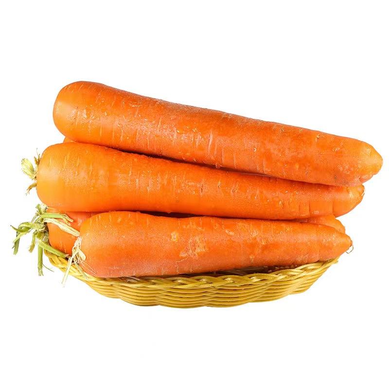 Высококачественная морковь, свежая продукция нового сезона, гигиеническая упаковка с долгим сроком хранения, безопасная доставка гарантирована