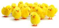 2025 nouveauté en gros pas cher décorations de pâques mignon petit chenille poulet à couver poussin en peluche pour la rentrée des classes