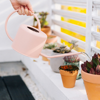 Arrosoir en métal artisanal unique et durable de 1,3 L avec finition personnalisée, exportateur en gros de Jiangsu