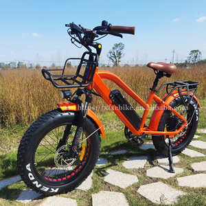 Expédition rapide Vélo électrique pour enfants de <span class=keywords><strong>20</strong></span> <span class=keywords><strong>pouces</strong></span> Pneu gras Step Thru E-Bike 48V 750W Vélo électrique pour enfants Vélo de ville électronique - Product Image 2