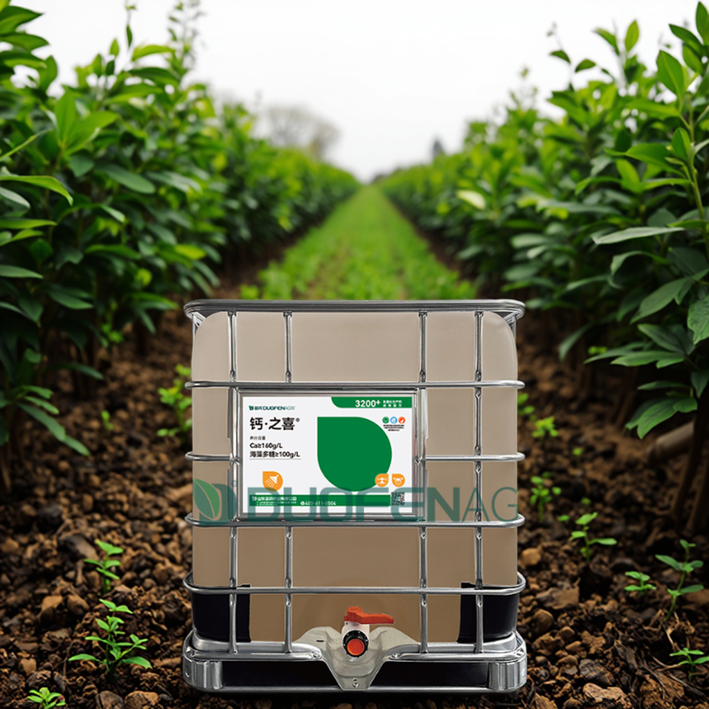 Cal Liquid Fertilizer160g/L for Blueberry | OEM Wholesale