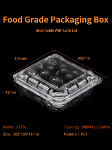 Hộp đựng quả việt quất, vỏ nhựa thông thoáng, 125g (6oz), sản xuất tại Trung Quốc, số lượng đặt hàng tối thiểu thấp - Product Image 3